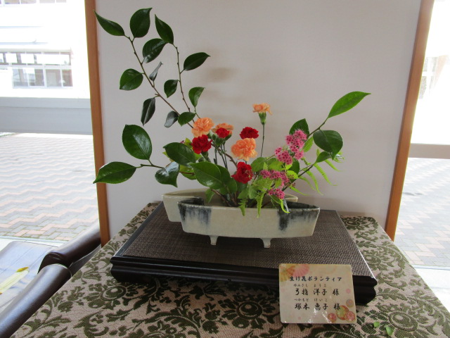 IMG_4397 IMG_4397