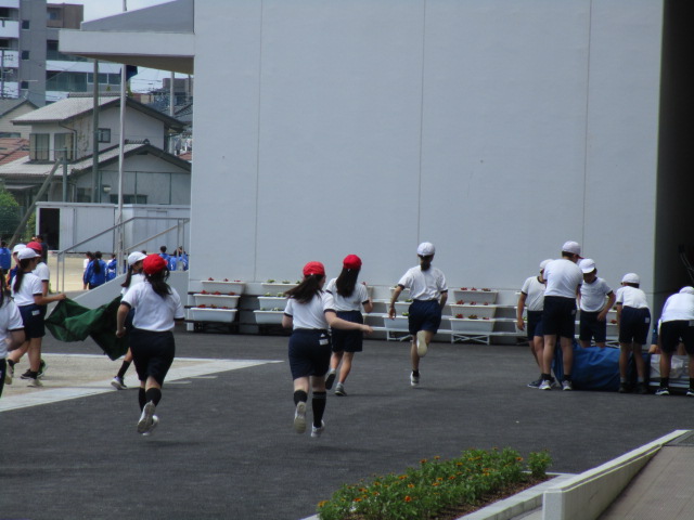 IMG_4525 IMG_4525