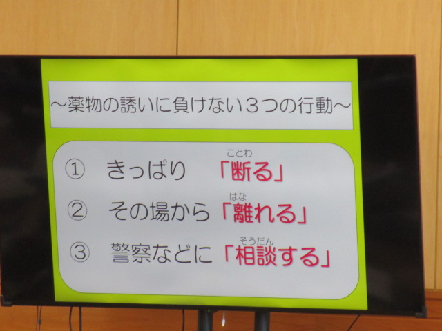 IMG_4551 IMG_4551