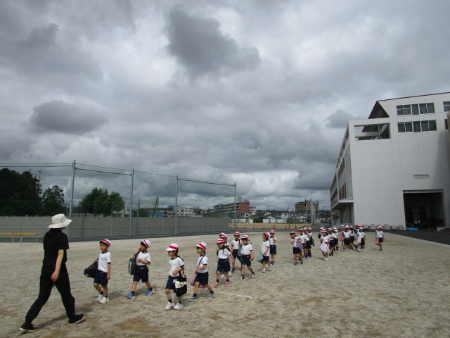 IMG_4557 IMG_4557