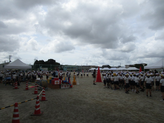 IMG_4563 IMG_4563