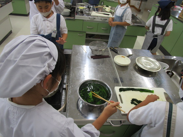 IMG_4584 IMG_4584