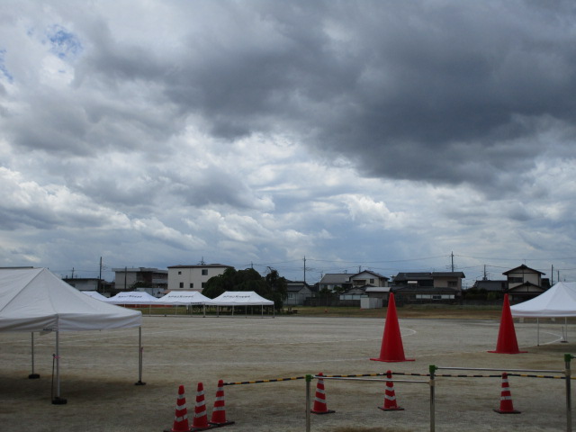 IMG_4647 IMG_4647