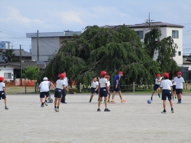 IMG_5034 IMG_5034