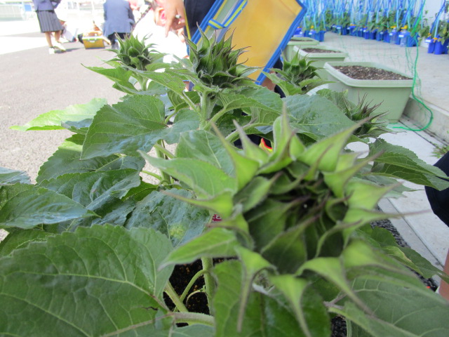 IMG_5171 IMG_5171