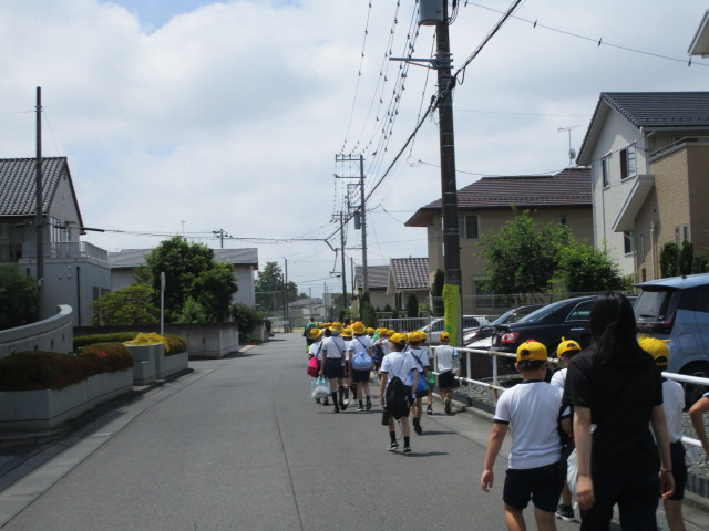 IMG_5219 IMG_5219