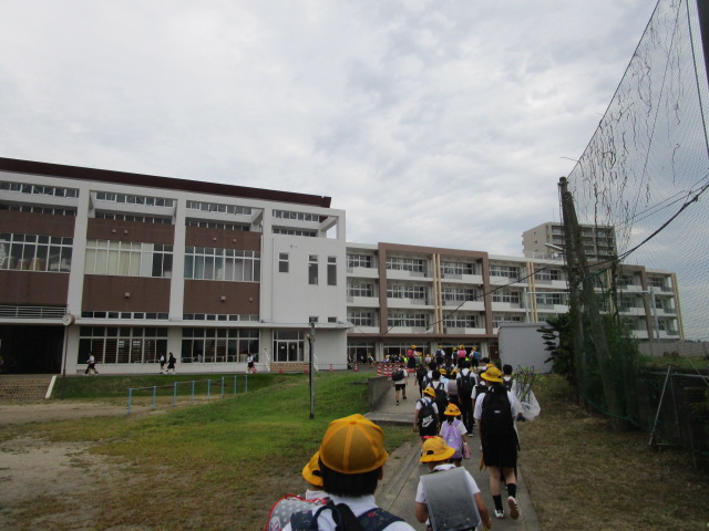 IMG_6482 IMG_6482