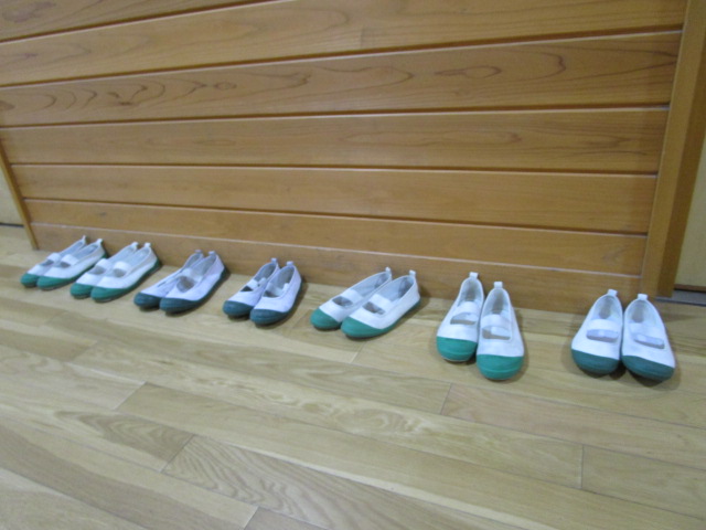 IMG_6575 IMG_6575