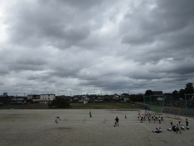 IMG_7230 IMG_7230