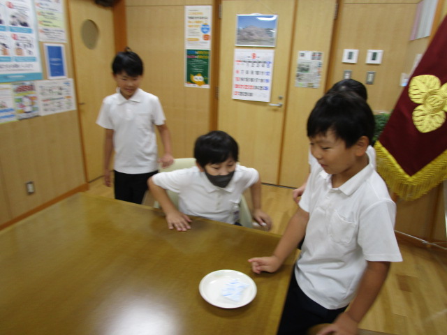 IMG_7282 IMG_7282