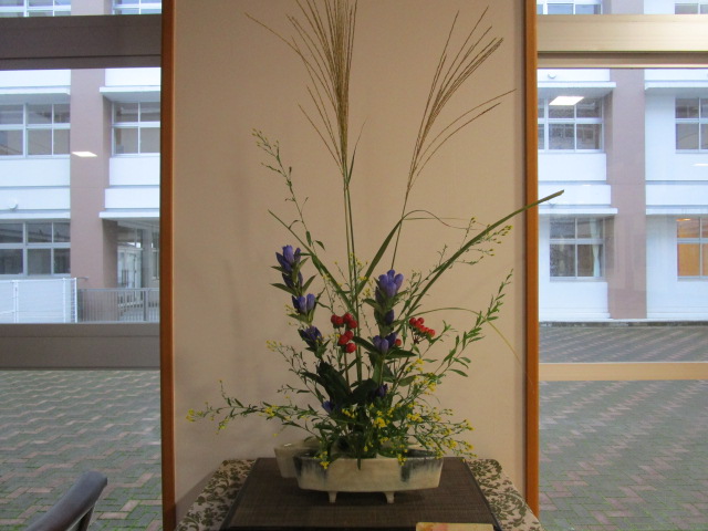 IMG_7701 IMG_7701