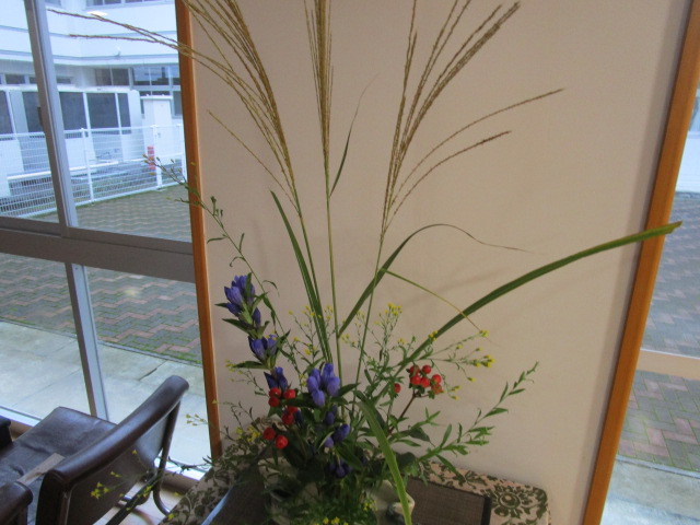 IMG_7704 IMG_7704