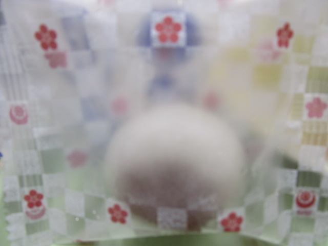 IMG_7864 IMG_7864