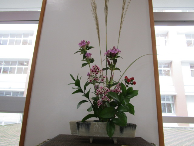 IMG_7901 IMG_7901