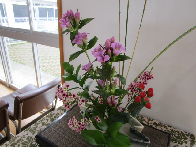 IMG_7906 IMG_7906