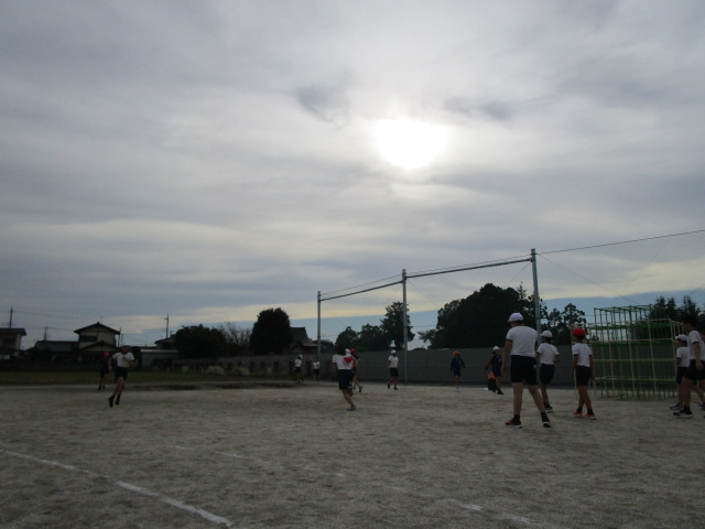 IMG_7985 IMG_7985