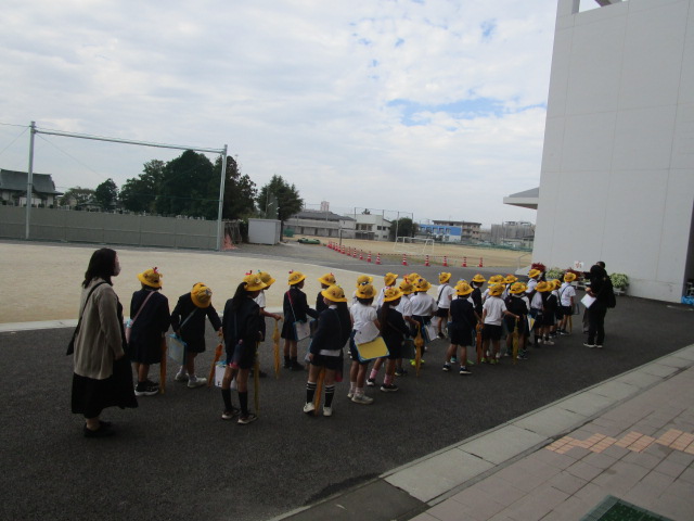 IMG_8338 IMG_8338