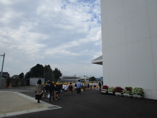 IMG_8343 IMG_8343