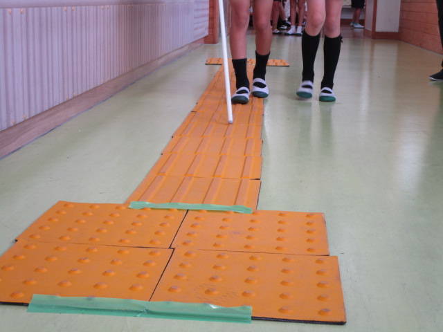 IMG_8470 IMG_8470