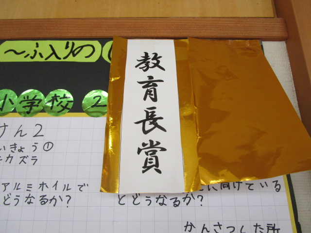 IMG_8653 IMG_8653