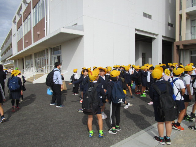 IMG_8737 IMG_8737