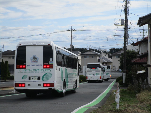 IMG_8713 IMG_8713