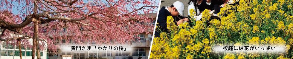 見川小学校