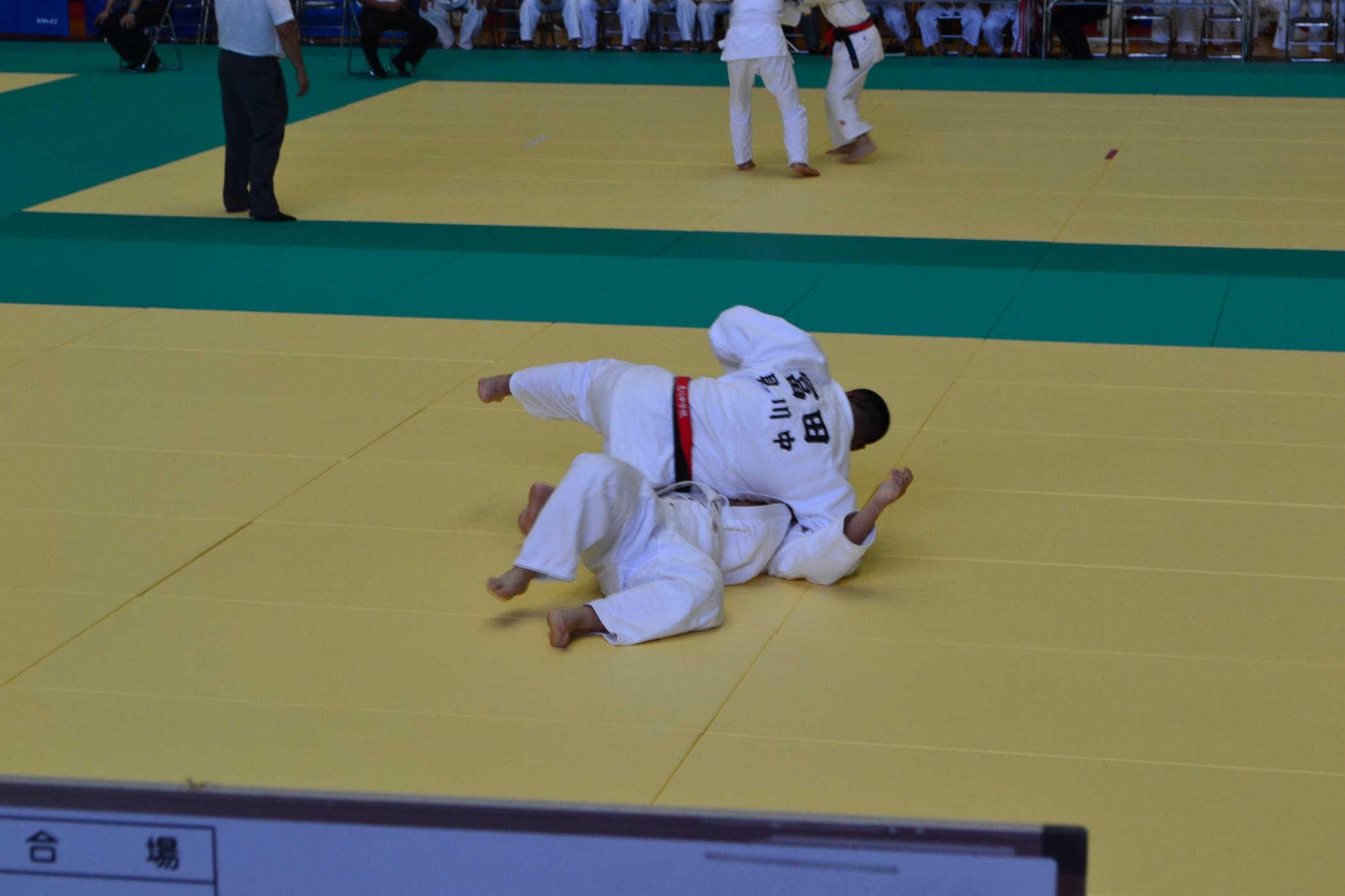 DSC_0687 DSC_0687