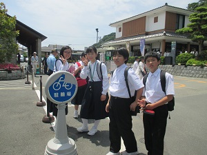 IMG_2455 IMG_2455