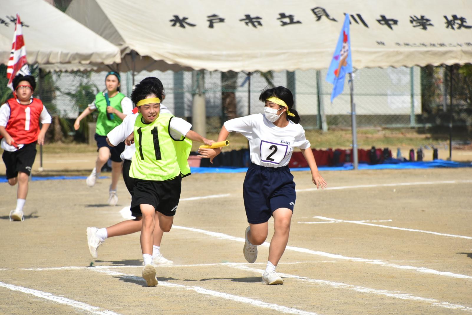 DSC_0366 DSC_0366