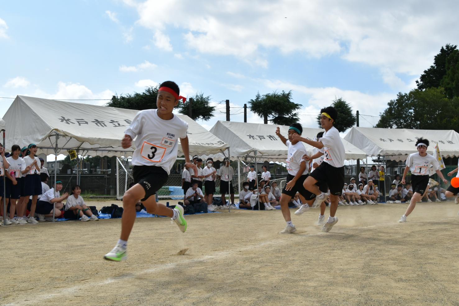 DSC_0474 DSC_0474