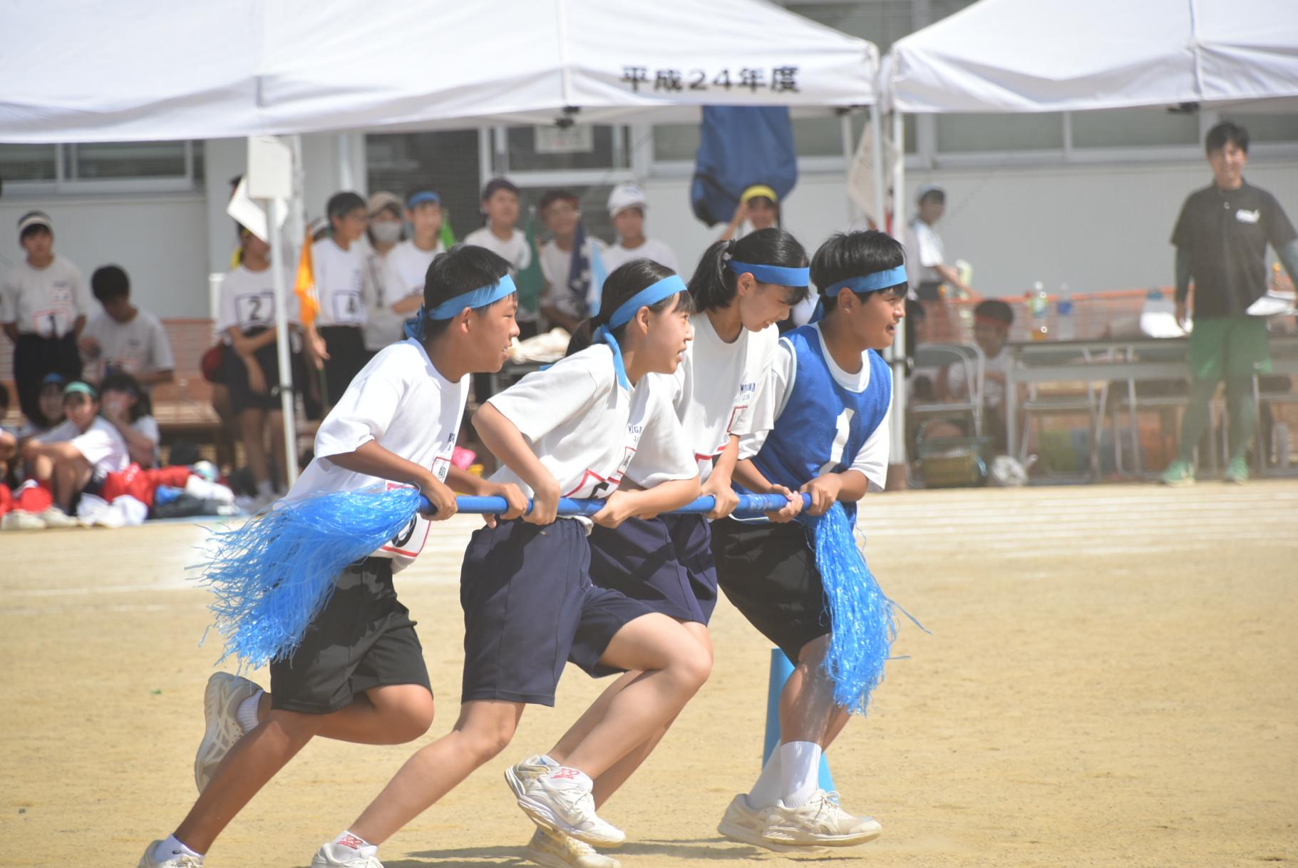DSC_0523 DSC_0523