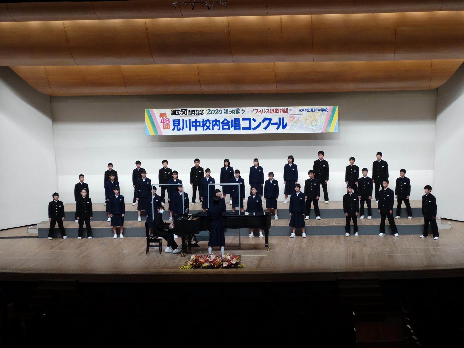 DSC04799 DSC04799