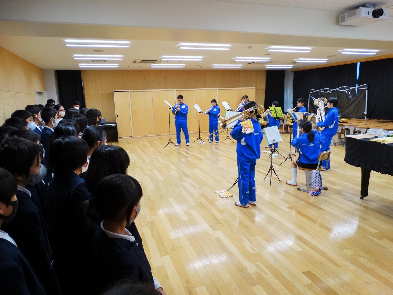 DSC05243 DSC05243