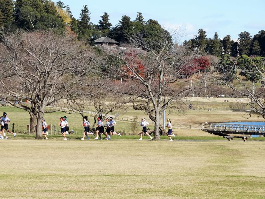 DSC05534 DSC05534