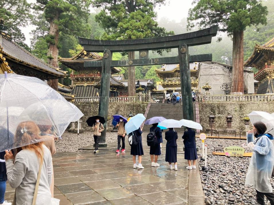 IMG_2417 IMG_2417
