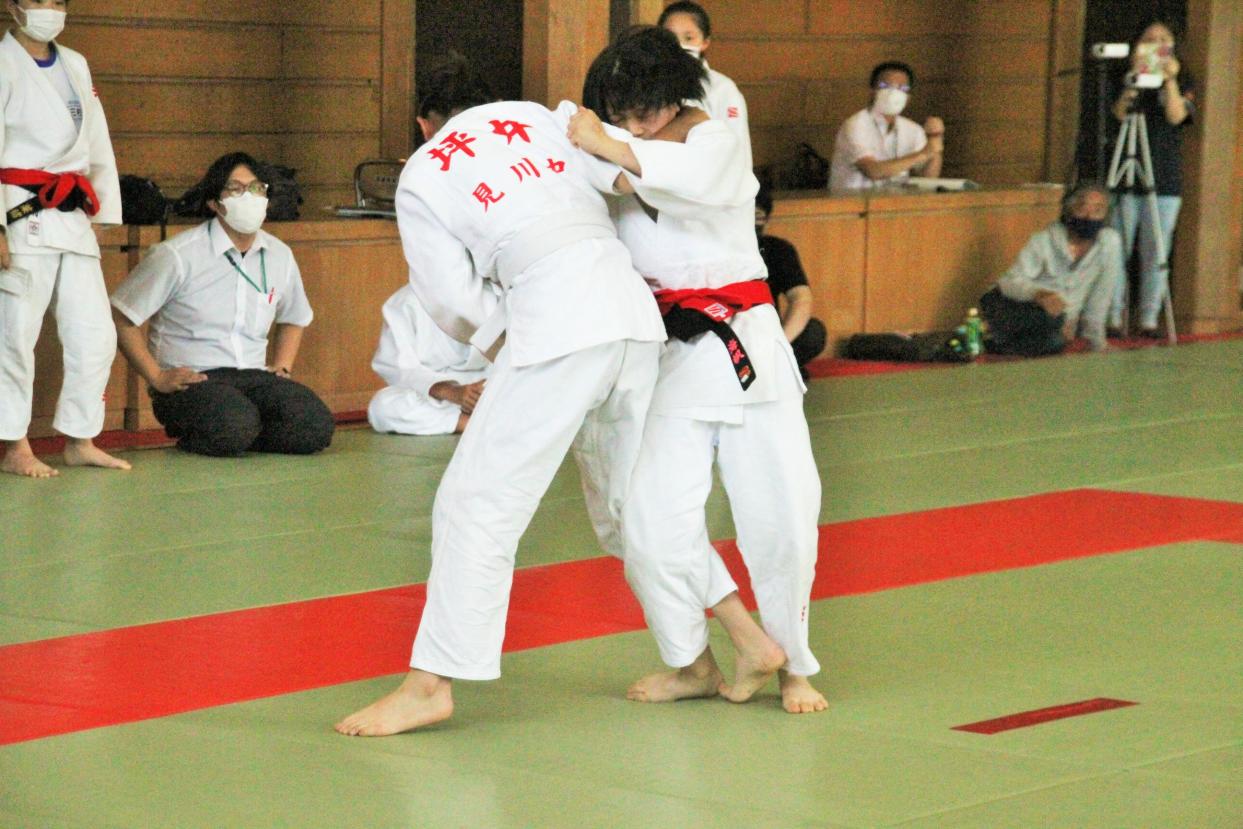 IMG_2390 IMG_2390
