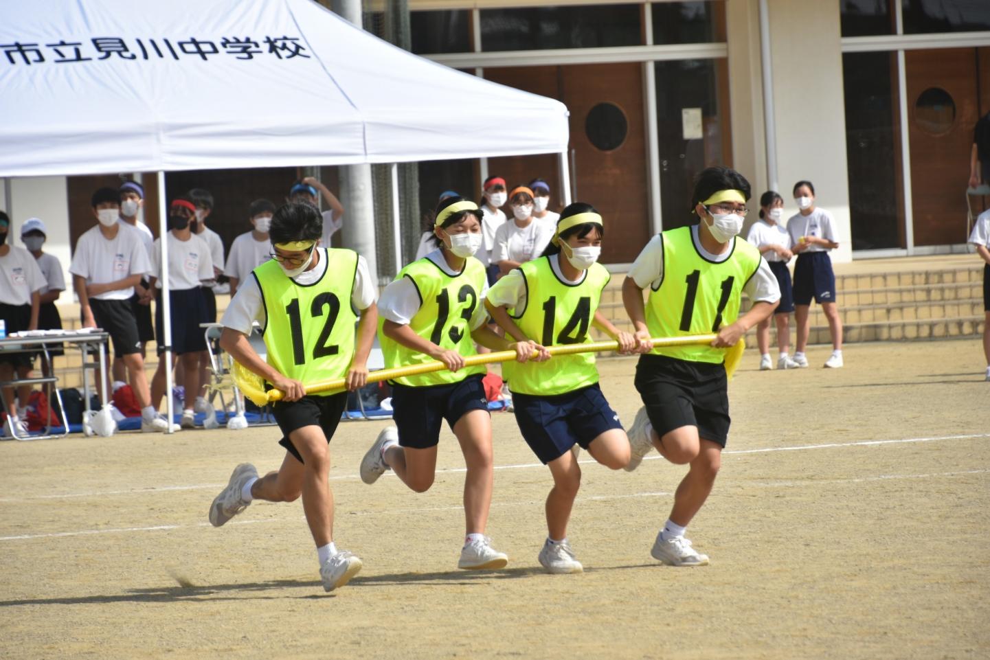 IMG_3135 IMG_3135