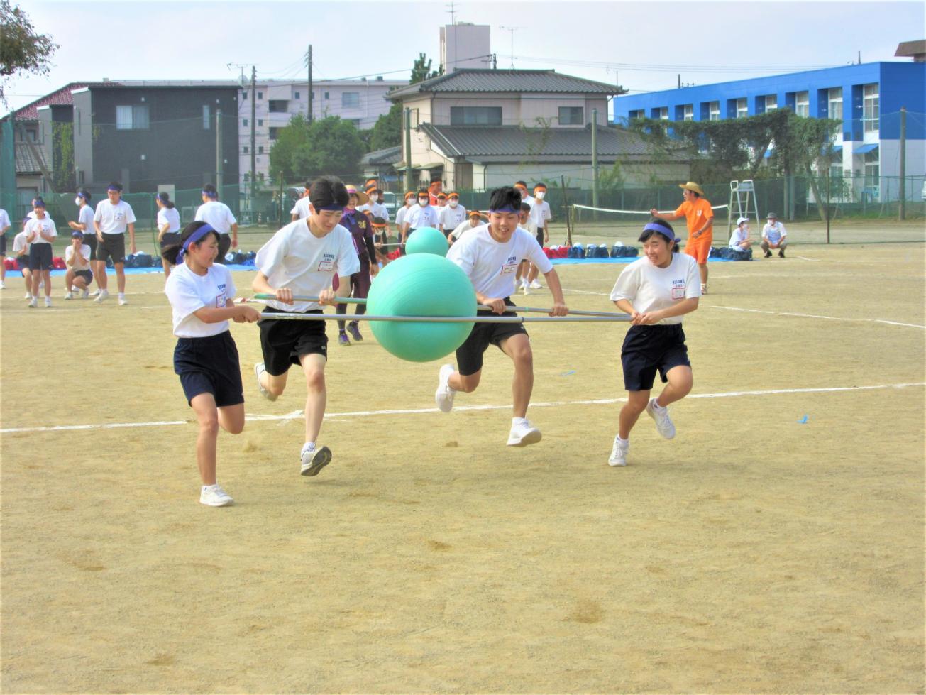 IMG_8043 IMG_8043
