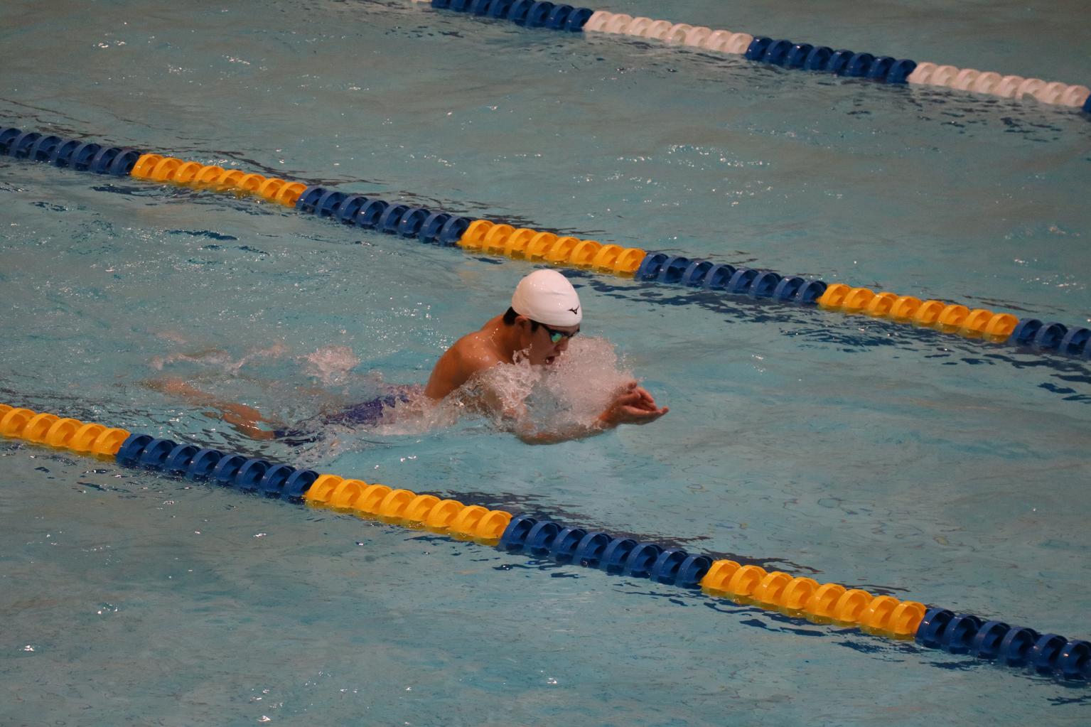 IMG_6236 IMG_6236