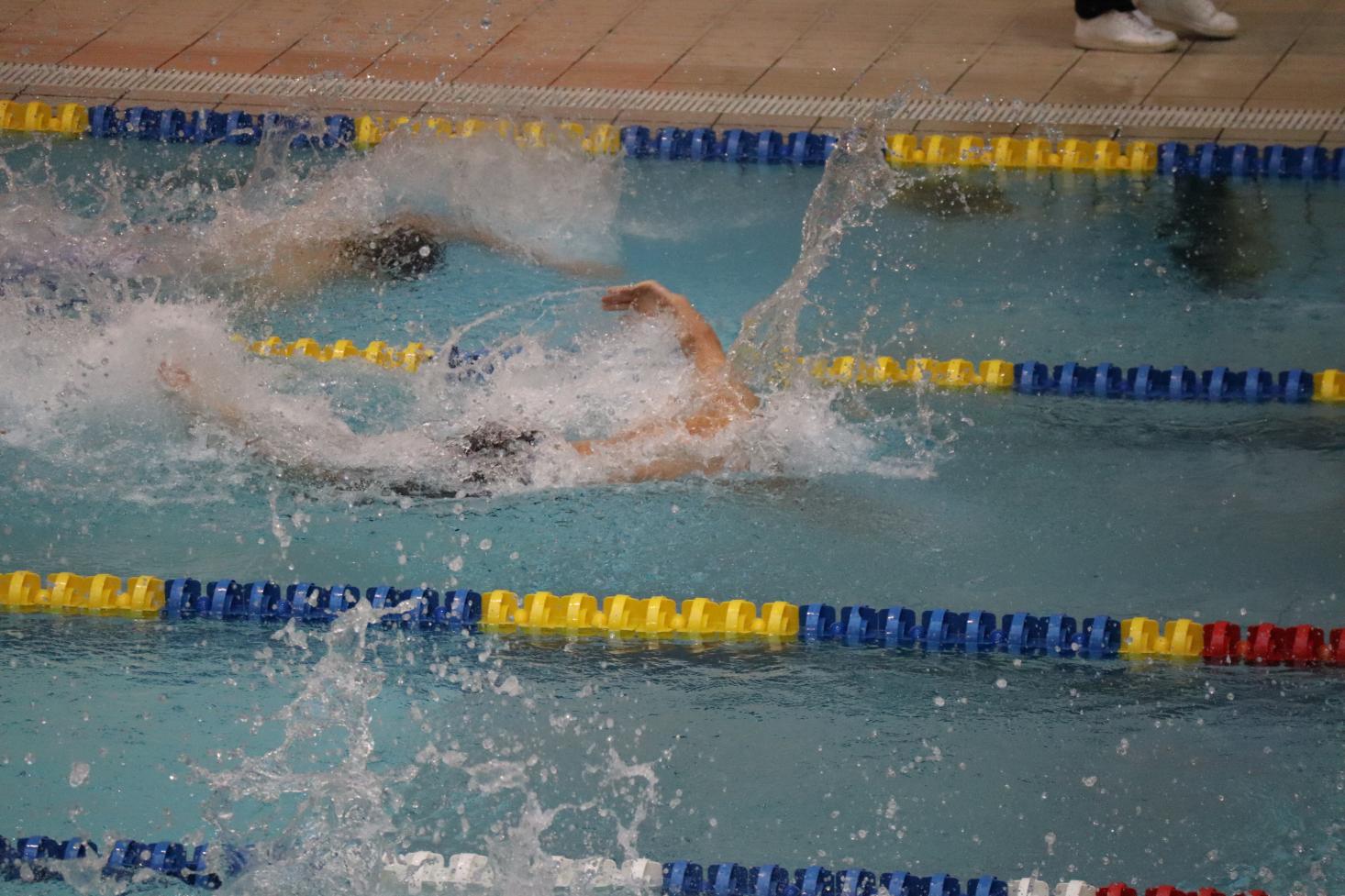 IMG_6550 IMG_6550
