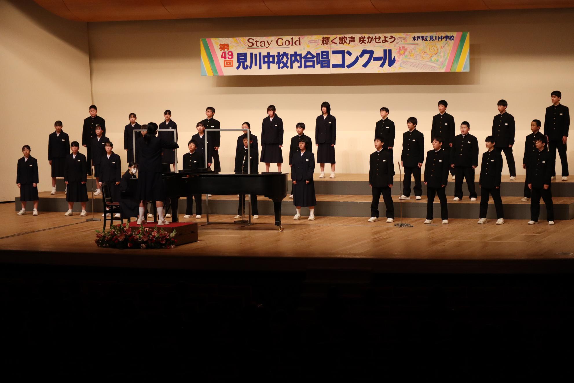 IMG_7162 IMG_7162