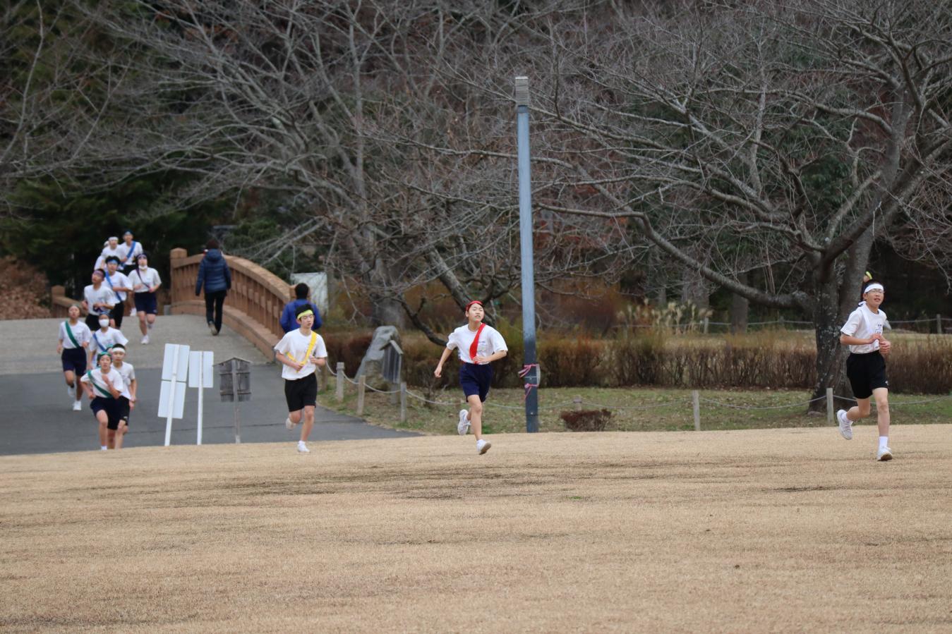 IMG_7556 IMG_7556