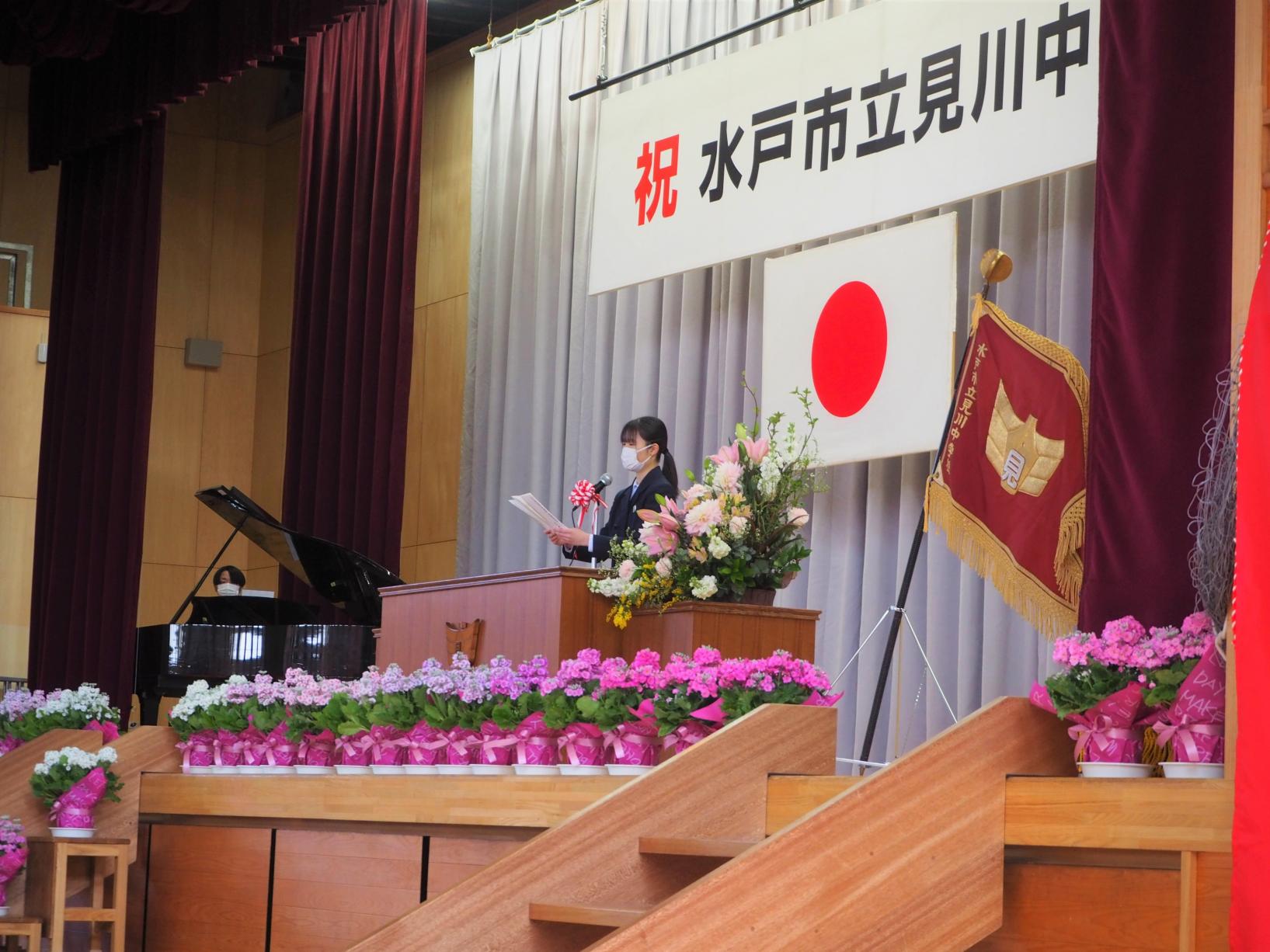 P3110412 P3110412