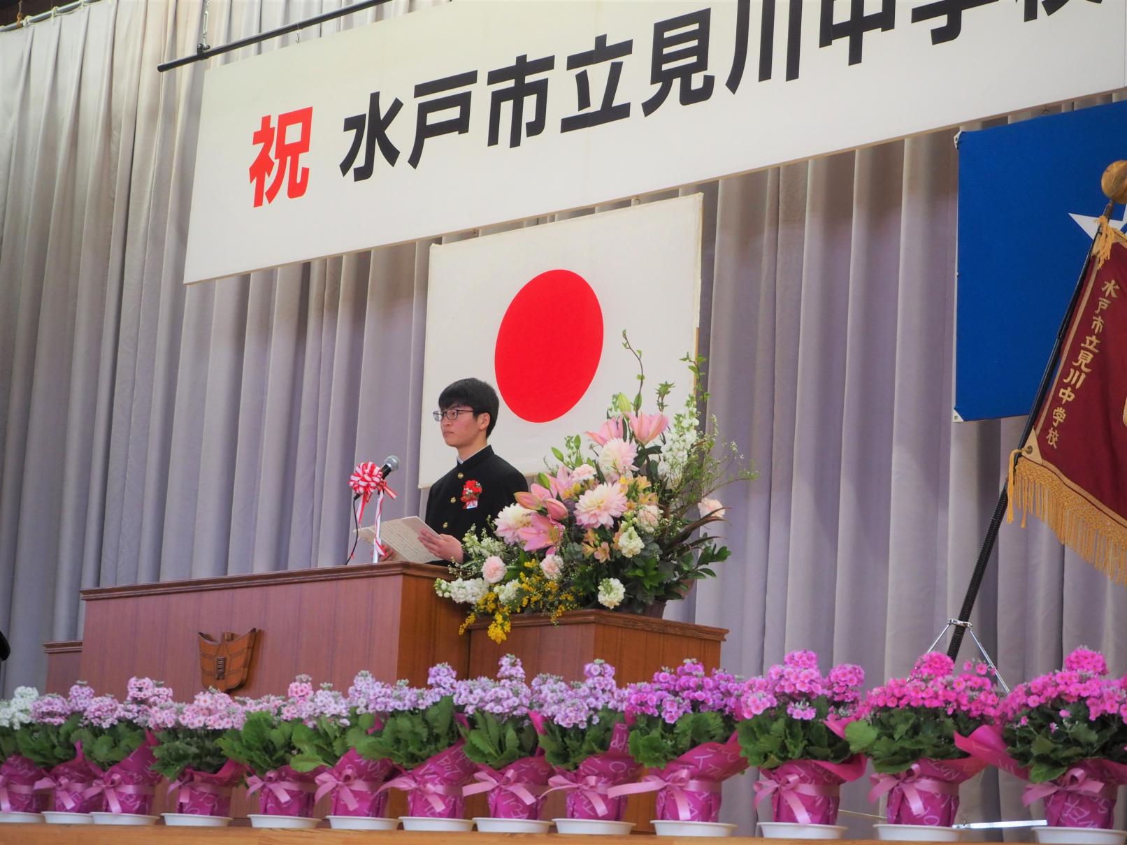 P3110422 P3110422