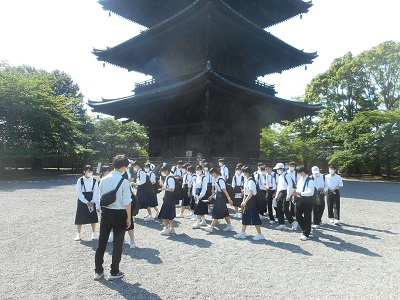 DSCN7555 DSCN7555
