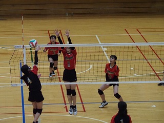 P6150682 (2)ab