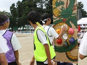 2IMG_7753 (2) 2IMG_7753 (2)