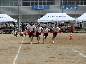 2IMG_2077 (2) 2IMG_2077 (2)