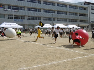 写真7